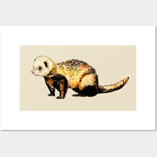 ferret Posters and Art
